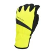 Sealskinz Waterproof All Weather Glove