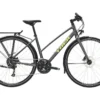 Trek FX 2 Disc EQ Stagger - 2023 - Satin Lithium Grey