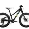 Roscoe 20 - 2023 - Trek Black