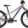 Cannondale Kid's Trail 20 - Lavender
