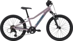 Cannondale Kid's Trail 20 - Lavender
